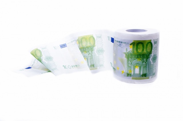Novelty toilet paper euro printed 
