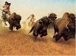 Indians Hunting Bulls
