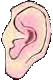 Ear