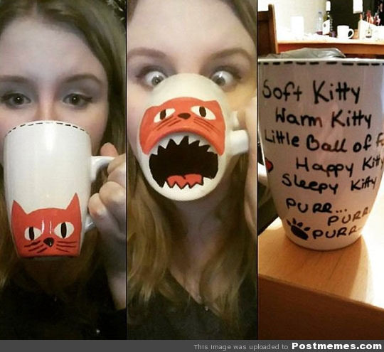 DIY Sharpie Mug Big Bang Theory Soft Kitty Warm Kitty Sheldon Cooper