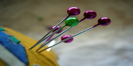 Pin Needle