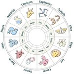 Full Zodiac Picture
