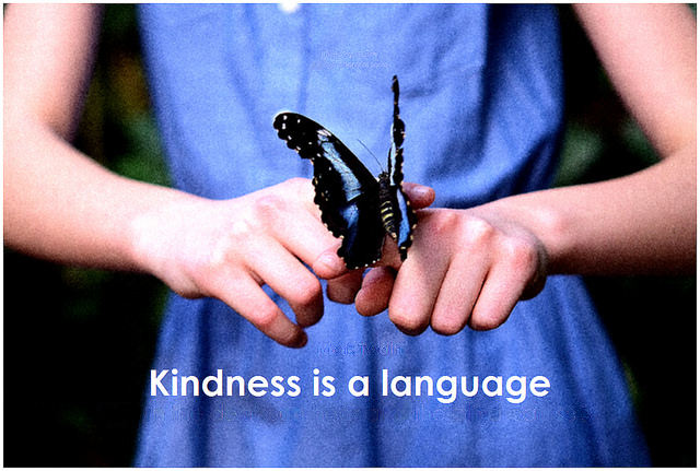 Kindness is a Language