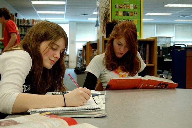 Learning and studying in the library