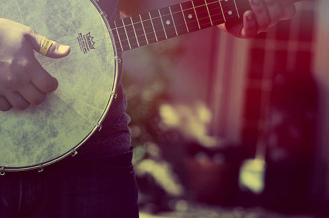 Close up Banjo Strings 