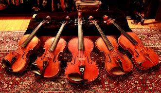 Display of FIddles