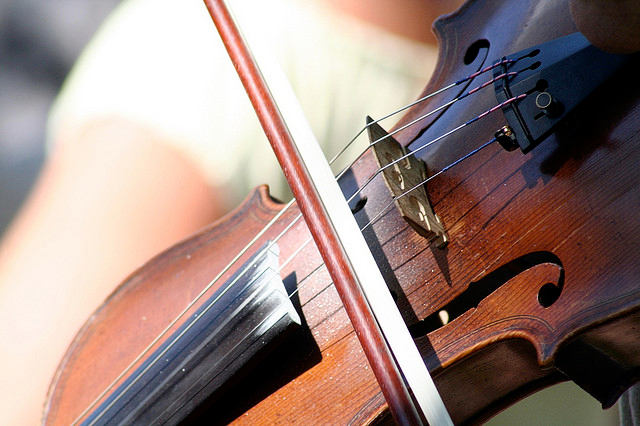 Fiddle Violin played at a wedding Arin Olwell